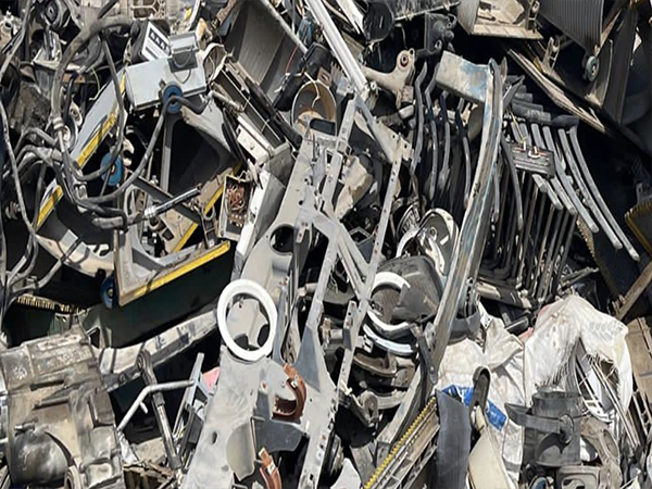 Toy car exploring offroad.